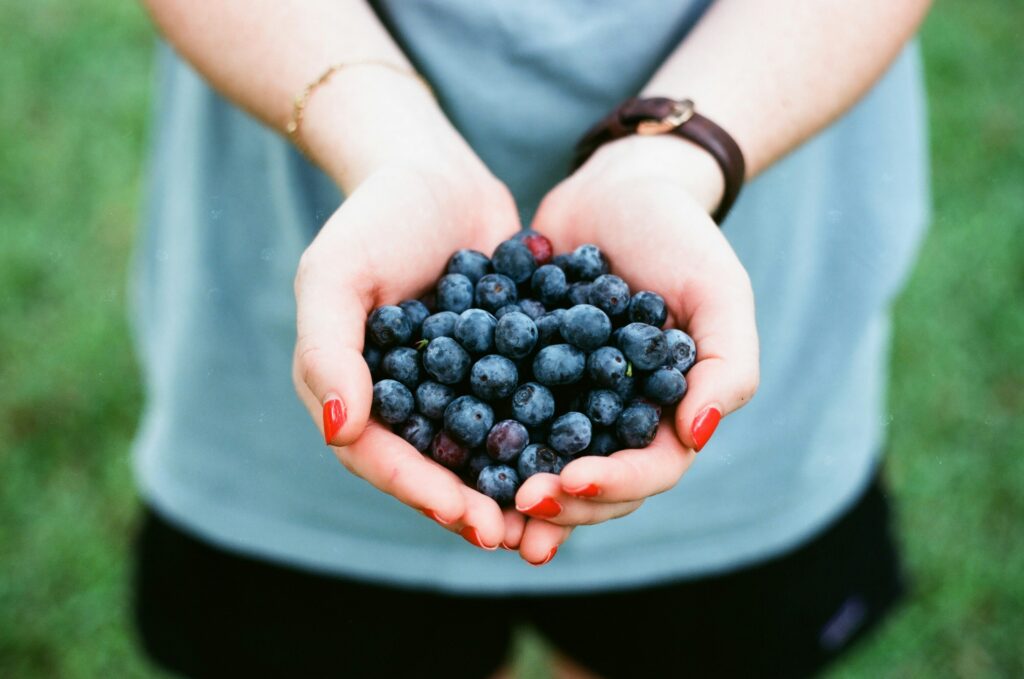 Blues Berries rich in antioxidants which helps to improve Brain Health. Best Food to be taken Brain Boosting Supplements