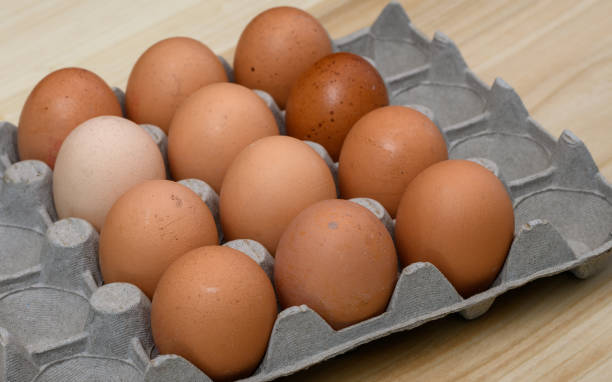 Eggs, Best Supplement For Brain Health